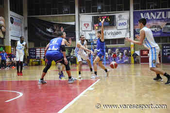CGold, 8^ off – Gallarate vola, Busto si avvicina al secondo posto. Saronno ok, cade Varese Academy - VareseSport