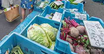 Korteketenmarkt met bloesembar in Wellen | Wellen | hln.be - Het Laatste Nieuws