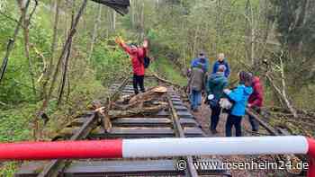 Zug, Rad, Natur: Wer hat das Sagen auf der stillgelegten Altstadtbahnstrecke Wasserburg?