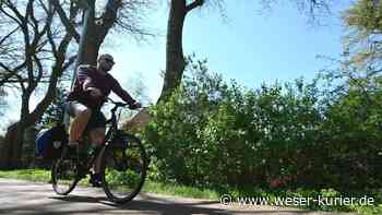 Erste Maßnahmen auch ohne fertiges Konzept - WESER-KURIER