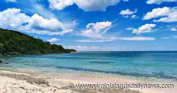 Boost your health with a hike down L'Esperance trail - Virgin Islands Daily News