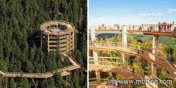 A Giant Treetop Trail Is Opening In Quebec This Summer — Here's What It'll Look Like - MTL Blog