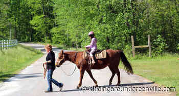 Eden Farms Offers Amazing Trail Rides Overlooking the Mountains near Greenville, SC - Kidding Around Greenville