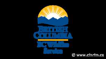 BC Wildfire Service Crews Conduction Risk Reduction Work in Howe Creek Trail Area This Week - CFNR Network