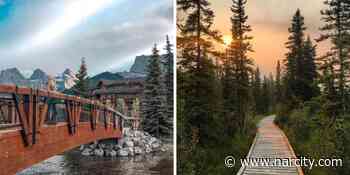 This Canmore Trail Along A Boardwalk Has Incredible Mountain Views Without Leaving The Town - Narcity Canada