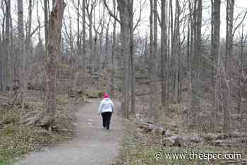 Upper Stoney Creek's Eramosa Karst to test new trail system - Hamilton Spectator