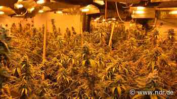 Lüneburg: Polizei stellt 600 Cannabis-Pflanzen sicher - NDR.de