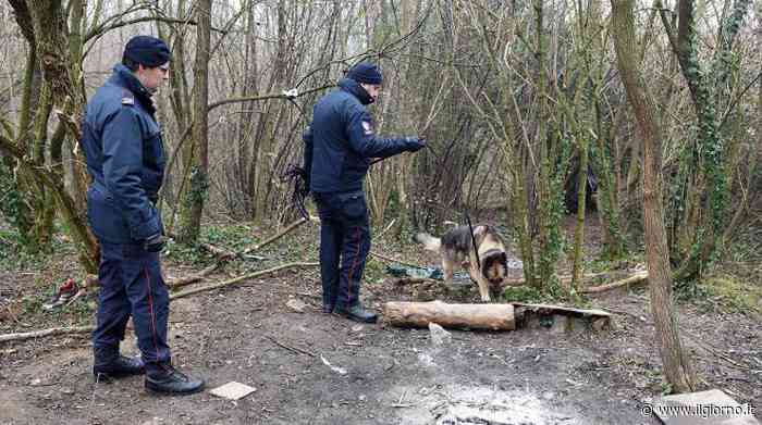 Bosco di Lainate, condannato a 18 anni il capo dei pusher tradito dalle chat - IL GIORNO
