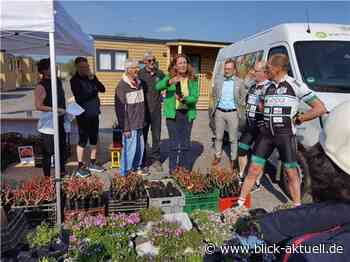 Viel Lob für Rosen- und Staudenmarkt in Sinzig - Blick aktuell