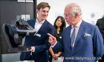 PETA slams Prince of Wales for awarding prize to 'inhumane' mask for COWS that neutralises methane