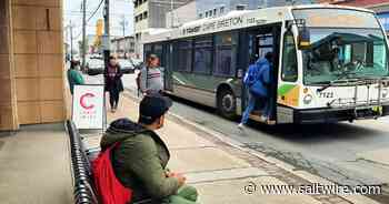 Breaking a 40 year trend: Population stability, growth in Cape Breton according to 2021 Census - Saltwire