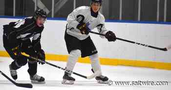 Cape Breton Eagles call up Quebec defenceman for remainder of the season - SaltWire CB powered by Cape Breton Post