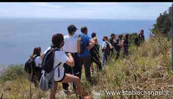 Massa Lubrense - Punta Campanella, un weekend tra escursioni e immersioni a caccia di biodiversità - StabiaChannel.it