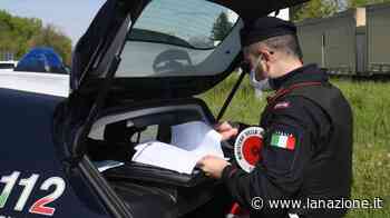 Massa: l'inchiesta anti prostituzione, "Gestivo incontri per mantenere i miei figli" - LA NAZIONE