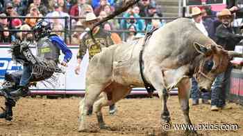 What you need to know about the Austin Gamblers - Axios