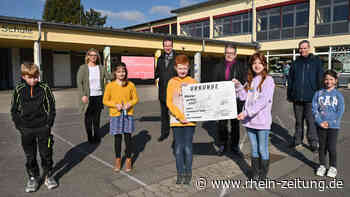 Touristenattraktion mit Bildungsprogramm: Was Schüler vom Andernacher Geysir lernen - Rhein-Zeitung