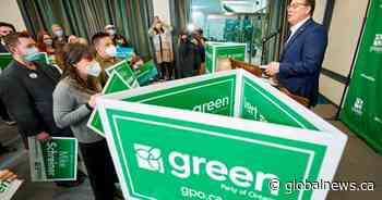 Ontario Greens look to other provinces as they campaign to grow their caucus of one