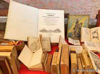 A Torrita di Siena torna 'Borgo dei Libri', eventi e mostre - Agenzia ANSA