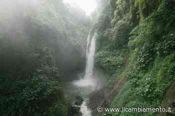 Marco Bersani su Il Manifesto: «Assalto alla natura: gli ecosistemi quotati in Borsa» - Il Cambiamento