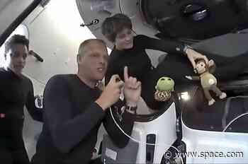 SpaceX Crew-4 astronauts fly plush turtle and monkey as zero-g indicators