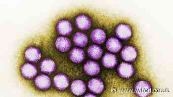 Hepatitis Cases in Kids Have Scientists Hunting for Answers