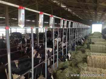 Emissioni di gas serra. Rapporto Ispra: da agricoltura italiana riduzione dell'11,4% dal 1990 - Agricultura.it