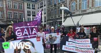 Actievoerders vragen in Leuven aandacht voor proefdieren: “Proefapen aan KU Leuven moeten waardig pensioen krijgen” - VRT NWS