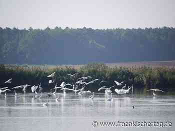 Wandertipps für die Region Erlangen-Höchstadt - Fränkischer Tag