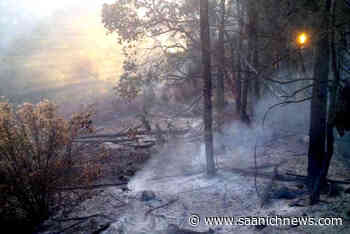 Grant reduces Sooke's wildfire risks – Saanich News - Saanich News