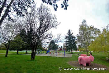 Saanich's Rutledge Park to see splash pad after almost 25-year wait – Saanich News - Saanich News