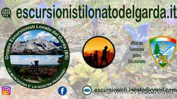 Lonato del Garda: camminare in salute - BresciaToday