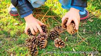 Zweite Gruppe kommt: Finanzspritze für den Althengstetter Waldkindergarten