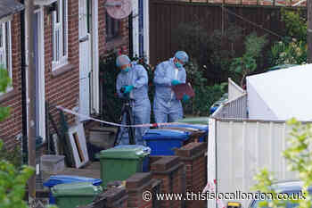 Southwark stabbings: Man accused of murder remanded in custody