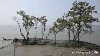 Was es mit den Endzeitvisionen der „Climate-Fiction“ auf sich hat