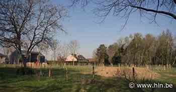 Langverwachte opening hondenlosloopweide op 14 mei | Herent | hln.be - Het Laatste Nieuws