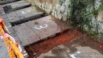 Arrivano le prime postazioni anticinghiale per la spazzatura