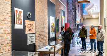 Academie toont kunstwerken van leerlingen met “Fresh!” | Dendermonde | hln.be - Het Laatste Nieuws