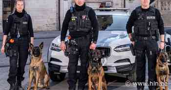 Lokale politie verwelkomt twee nieuwe politiehonden Zeko en Ice - Het Laatste Nieuws