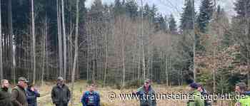 Traunreut: Weniger Verbiss in den Steiner Revieren - Traunsteiner Tagblatt