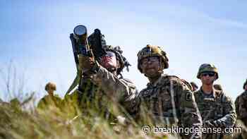 Let a Stinger be a Stinger. A new design isn’t needed.