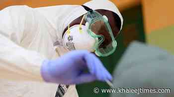 Coronavirus: UAE reports 275 Covid-19 cases, 334 recoveries, no deaths - Khaleej Times