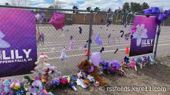 Judge sets $1 million bond for teen suspect in Lily Peters' death