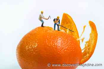 What to Feed Your Microbes