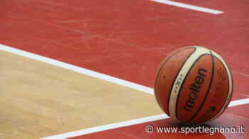 Knights sconfitti a Cecina - SportLegnano.it - SportLegnano.it