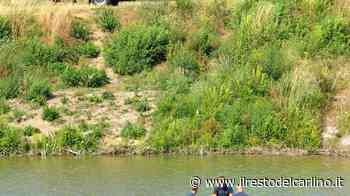 Massacrata nella sua abitazione In aula gli esperti del Ris di Parma - il Resto del Carlino