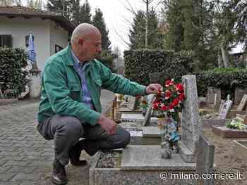 Vigevano, il cimitero degli animali più antico d’Italia è stato pignorato: raccolta fondi per salvarlo dallo... - Corriere Milano