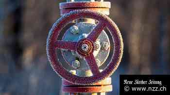 DIE NEUSTEN ENTWICKLUNGEN - Russland dreht den Gashahn zu: Laut Gazprom kauft Polen nun russisches Gas über Deutschland