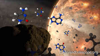 Scientists Wonder: Is the Origin of Life Extraterrestrial?