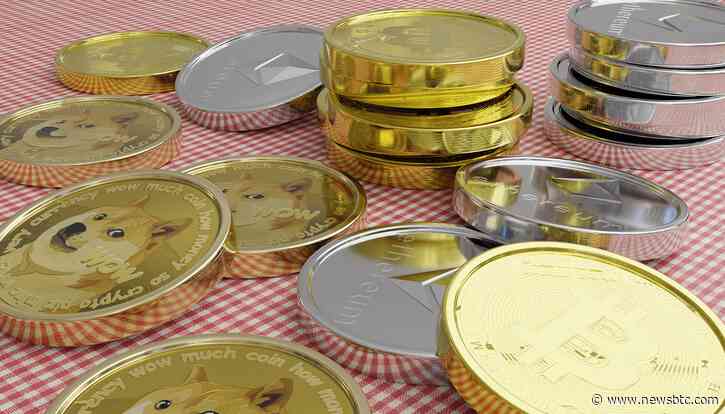 Dogecoin Plummets As Investors’ Doubts After Musk Twitter Takeover Unfold