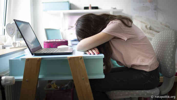 Gleichstellungsbericht: „Schutzschirm“ für Betroffene digitaler Gewalt gefordert